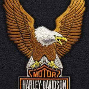 Meet your Posher, Dave